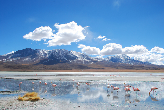 Laguna Hedionda