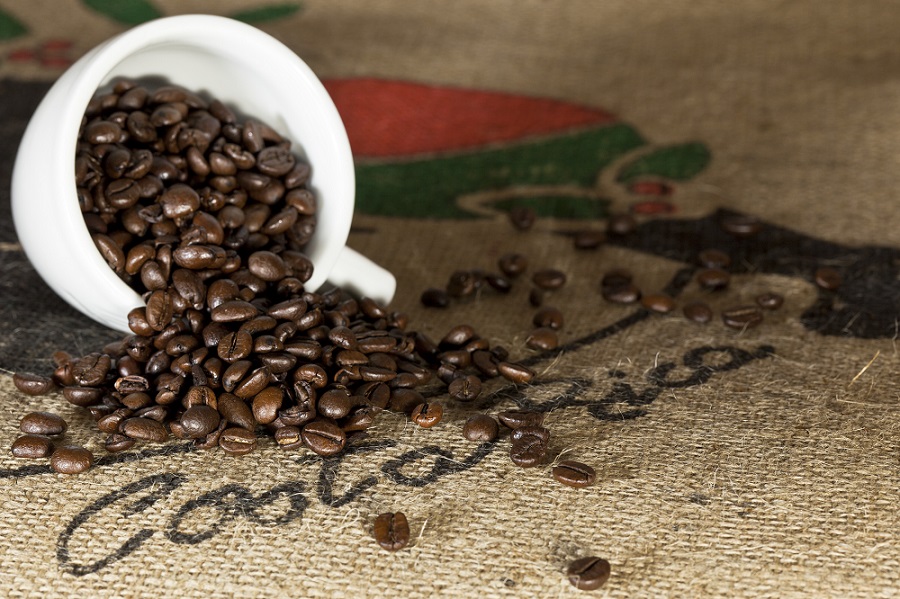 Viaggio in Costa Rica, caffe'