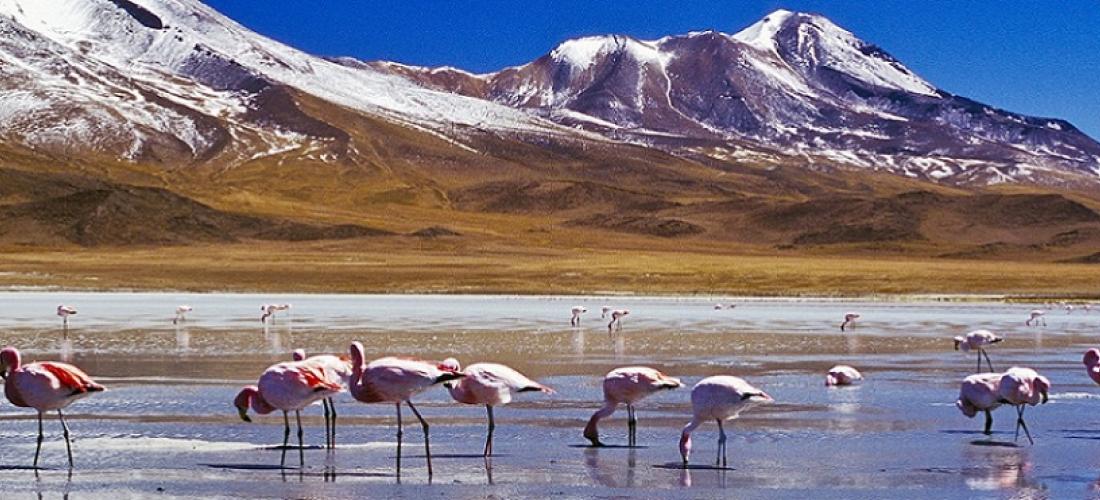 Viaggio in Cile e Bolivia